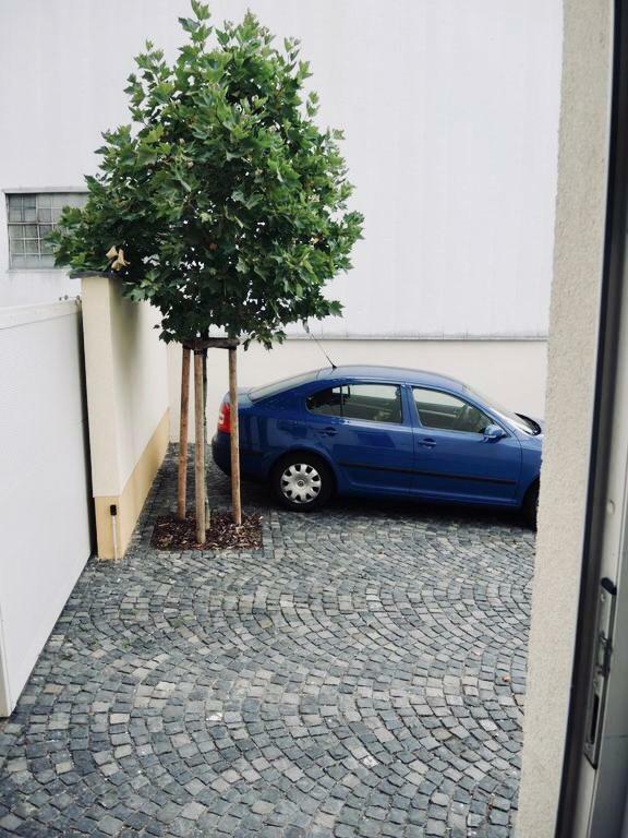 Modernes Apartment - Neustadt/Weinstrasse Stadt Neustadt an der Weinstraße Exterior foto